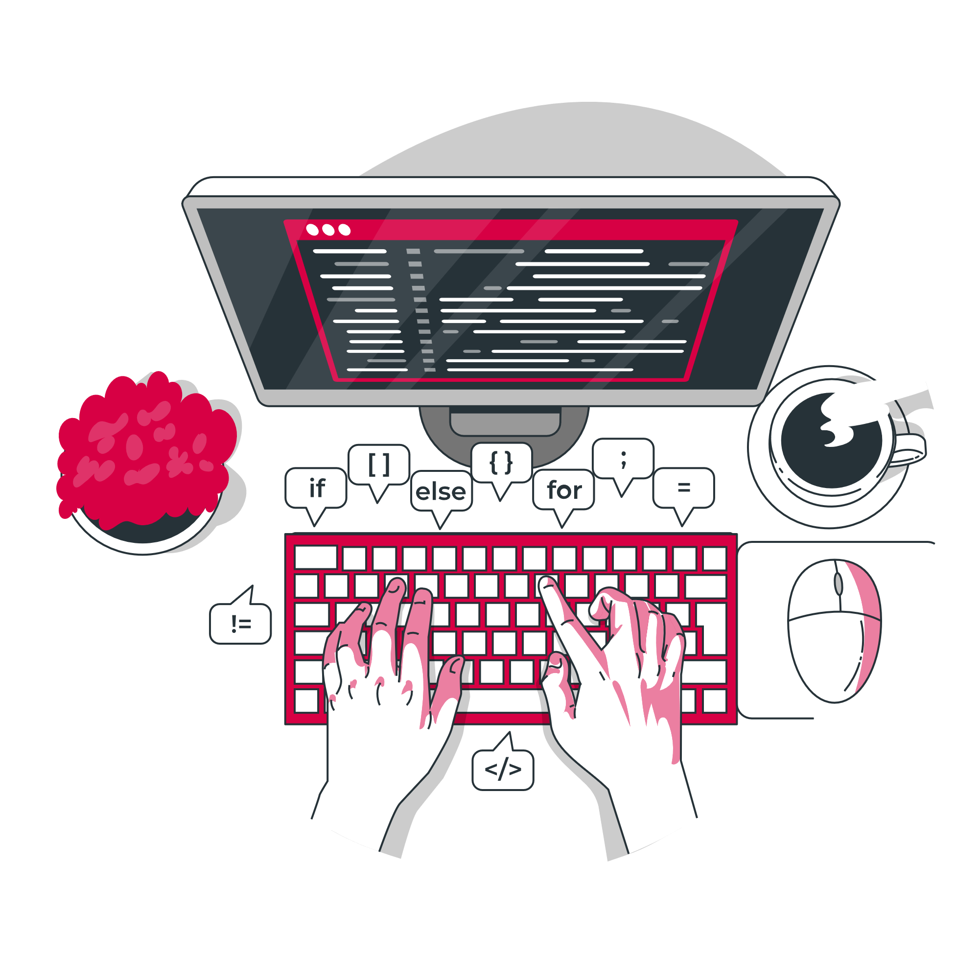 Custom Software illustration